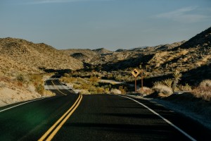 Joshua Tree Road